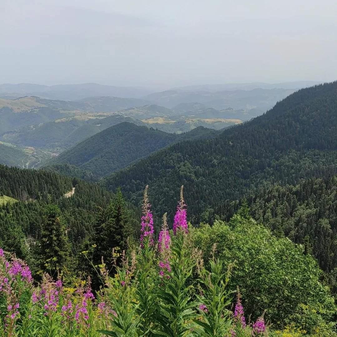 Apartamento Milmari S30 Kopaonik Exterior foto